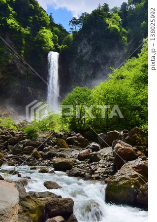 新緑に包まれる奥飛騨　平湯大滝 138025992