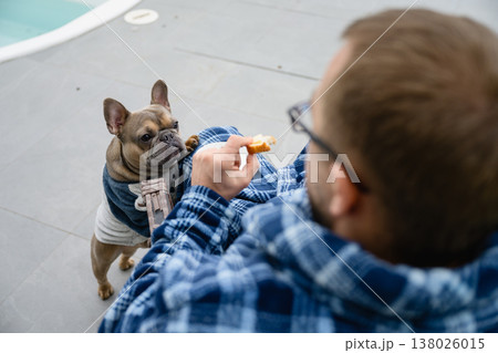 French bulldog begging food from man by pool 138026015