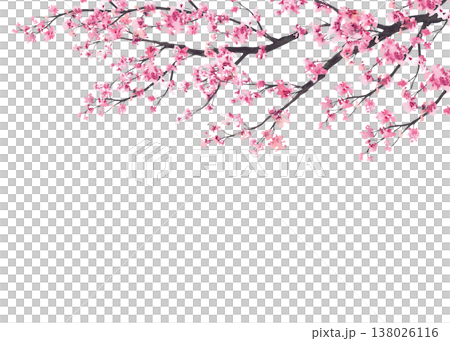 Blooming sakura branch rectangular frame with delicate pink cherry tree flowers. Hand drawn watercolor illustration Soft natural template on isolated white background for spring design, greeting cards Blooming sakura branch rectangular frame with delicate pink cherry tree flowers. Hand drawn watercolor illustration Soft natural template on isolated white background for spring design, greeting cards 138026116