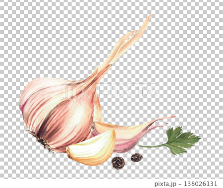Watercolor Garlic whole bulb and cloves with black pepper corns and parsley. Vegetables and herbs spices for culinary fragrant seasoning label, pickling recipe. Illustration isolated from background. Watercolor Garlic whole bulb and cloves with black pepper corns and parsley. Vegetables and herbs spices for culinary fragrant seasoning label, pickling recipe. Illustration isolated from background. 138026131