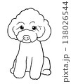 トイプードル 138026544