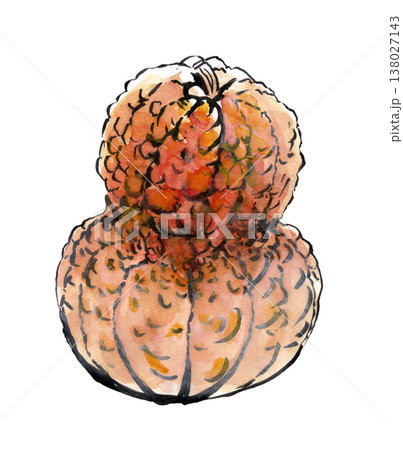 鹿ケ谷かぼちゃ 鹿ケ谷かぼちゃ 138027143