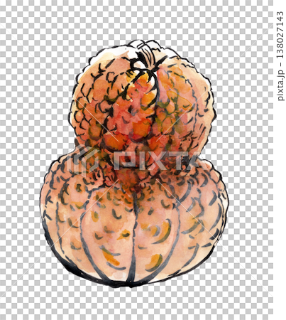 鹿ケ谷かぼちゃ 鹿ケ谷かぼちゃ 138027143