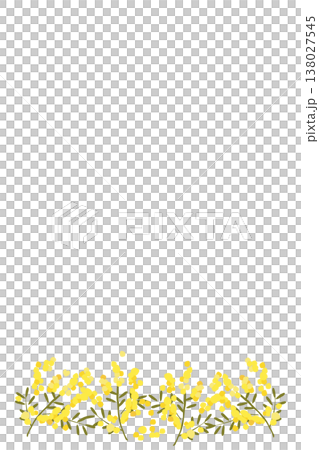 ミモザのポストカードイラスト_縦 ミモザのポストカードイラスト_縦 138027545