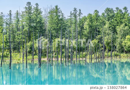 北海道美瑛町 夏の北海道 白金青い池 北海道美瑛町 夏の北海道 白金青い池 138027864