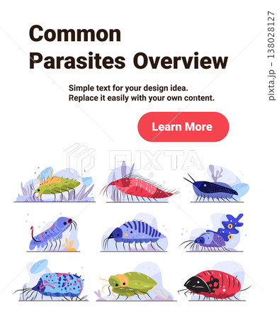 Parasite infection disease medical diagram cartoon microbes colorful organisms various shapes isolated on white background landing page 138028127