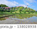 香取市の「橘ふれあい公園」にて、青空に泳ぐ鯉のぼり 138028938
