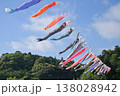 香取市「橘ふれあい公園」にて、大空に泳ぐ鯉のぼり 138028942