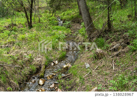 Quiet Forest Creek With Mossy Rocks and Green Spring Vegetation Along a Shallow Stream Quiet Forest Creek With Mossy Rocks and Green Spring Vegetation Along a Shallow Stream 138028967