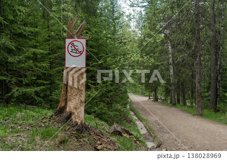 No Sledding Sign on Forest Trail Along Peaceful Wooded Path in Park 138028969