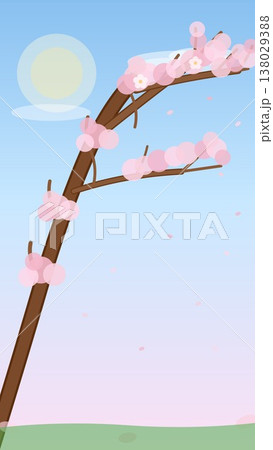 桜の枝（スマホ壁紙） 138029388