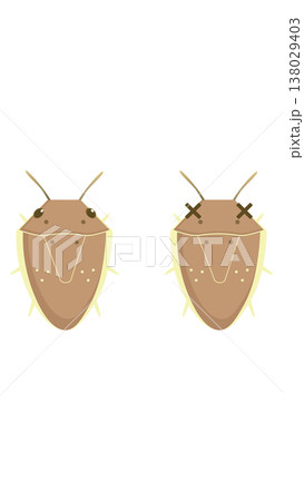 稲の害虫　イネカメムシのイラスト 138029403
