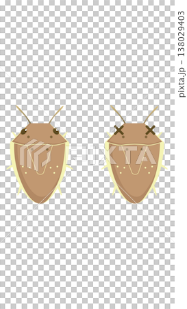 稲の害虫　イネカメムシのイラスト 138029403