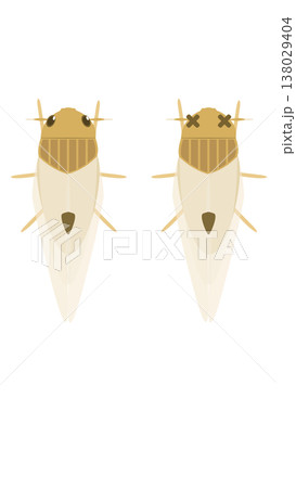 稲の害虫　ウンカのイラスト 138029404