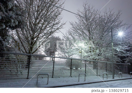 雪に覆われた夜の公園と街路樹の風景 138029715