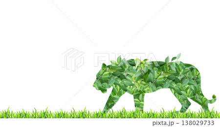 Tiger silhouette made of green leaves. Ecology, global ecological resource, go green concept. Environmental conservation, wildlife protection, Eco-friendly, Green Energy. Isolated on white background 138029733