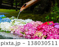 寺社の境内に飾られた色鮮やかな紫陽花の花手水と水盤の風景2 138030511