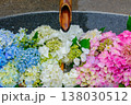 寺社の境内に飾られた色鮮やかな紫陽花の花手水と水盤の風景3 138030512