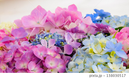 色鮮やかな紫陽花の水盤3 138030517