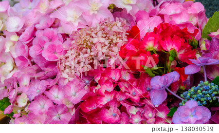色鮮やかな紫陽花の水盤5 138030519