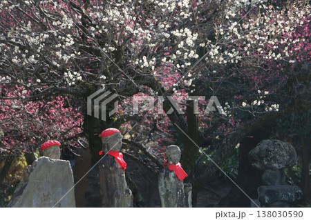 古刹の境内におわす地蔵菩薩 138030590