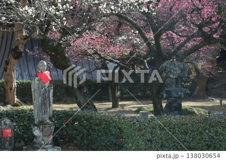 古刹の境内におわす地蔵菩薩 138030654