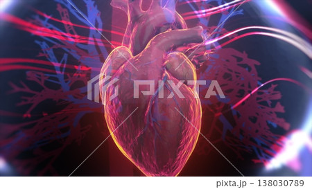 3d rendered medical animation of a man's heartbeat. Heart beat line and pulse. 3D animation displays the heart. Visually representing health, anatomy, and cardiovascular function. 138030789