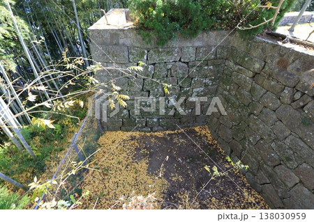 紀伊 新宮城 丹鶴城公園 138030959