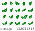 Green leaves set, eco icons plants, herbs and branches 138031218