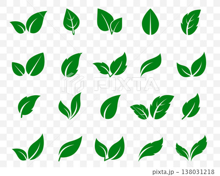 Green leaves set, eco icons plants, herbs and branches Green leaves set, eco icons plants, herbs and branches 138031218