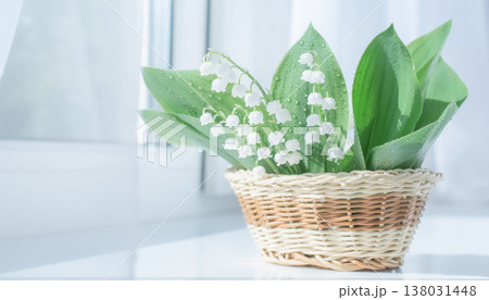 バスケットに入ったスズランの花　水滴が輝くフレッシュな春の訪れ　白い窓辺　コピースペース 138031448