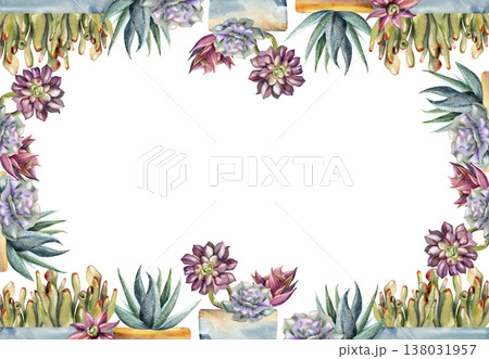Watercolor succulents, dark aeonium rosettes, crassula ovata, sansevieria in clay planters. Isolated illustration hand drawn in watercolor. Border frame for lifestyle printables, florist advertising. Watercolor succulents, dark aeonium rosettes, crassula ovata, sansevieria in clay planters. Isolated illustration hand drawn in watercolor. Border frame for lifestyle printables, florist advertising. 138031957