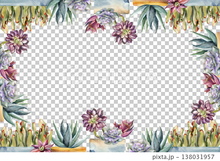 Watercolor succulents, dark aeonium rosettes, crassula ovata, sansevieria in clay planters. Isolated illustration hand drawn in watercolor. Border frame for lifestyle printables, florist advertising. Watercolor succulents, dark aeonium rosettes, crassula ovata, sansevieria in clay planters. Isolated illustration hand drawn in watercolor. Border frame for lifestyle printables, florist advertising. 138031957