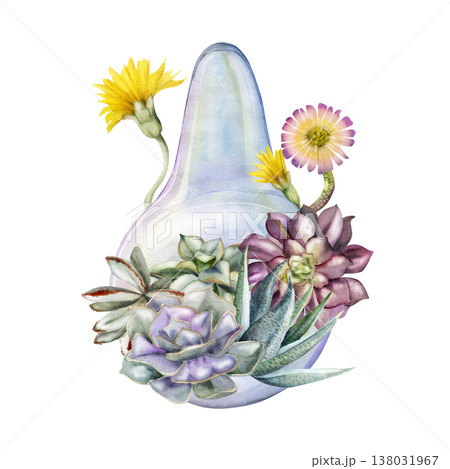 Succulent rosettes, flowering cacti stalk plants in glass bulb florarium. Isolated illustration hand drawn in watercolor. Organic cosmetics and skincare, handmade candles and soaps, zero-waste stores Succulent rosettes, flowering cacti stalk plants in glass bulb florarium. Isolated illustration hand drawn in watercolor. Organic cosmetics and skincare, handmade candles and soaps, zero-waste stores 138031967