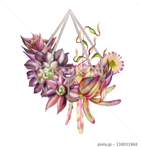 Exotic flowers, vines, rosette succulents in diamond pyramid silver wireframe holder hand painted in watercolor. Isolated illustration for interior design logos, lifestyle blogs, modern invitations. Exotic flowers, vines, rosette succulents in diamond pyramid silver wireframe holder hand painted in watercolor. Isolated illustration for interior design logos, lifestyle blogs, modern invitations. 138031968