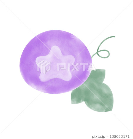 紫色の朝顔のイラスト 138033171