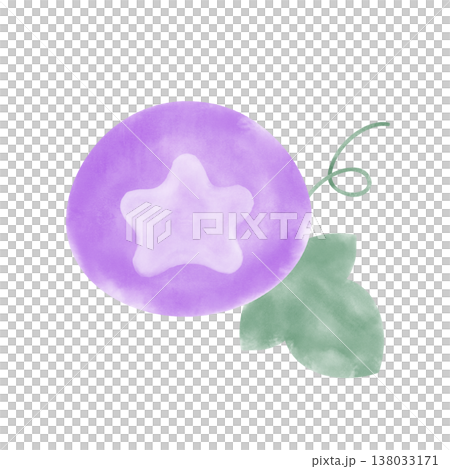 紫色の朝顔のイラスト 138033171