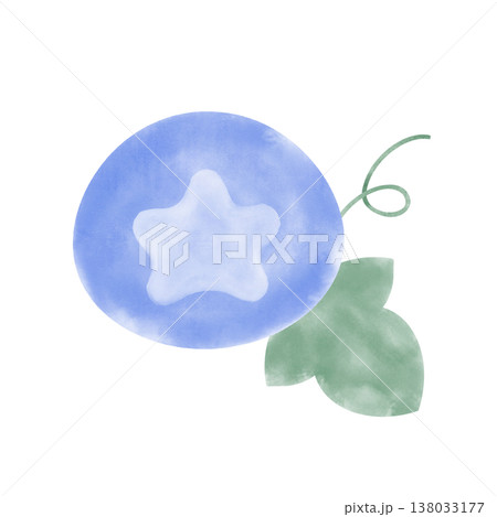 青色の朝顔のイラスト 138033177