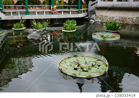 Lush garden at the Wong Tai Sin Temple, Hong Kong Lush garden at the Wong Tai Sin Temple, Hong Kong 138033414