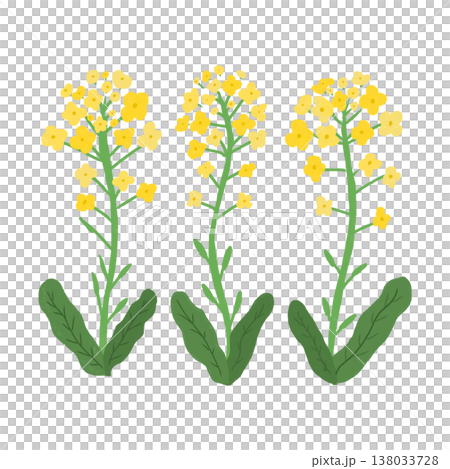 強姦開花例證 138033728