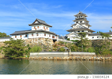 【愛媛県】快晴の今治城 138034124