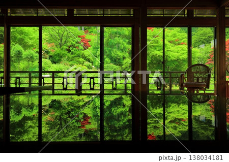 【佐賀県】新緑の環境芸術の森の風遊山荘から見た新緑 138034181