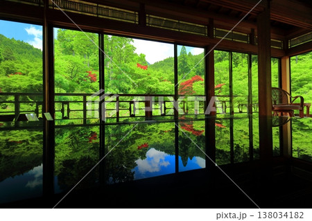 【佐賀県】新緑の環境芸術の森の風遊山荘から見た新緑 138034182