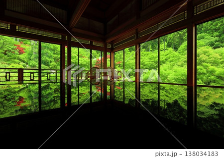 【佐賀県】新緑の環境芸術の森の風遊山荘から見た新緑 138034183