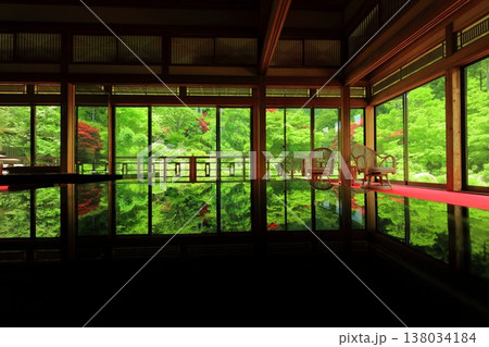 【佐賀県】新緑の環境芸術の森の風遊山荘から見た新緑 138034184