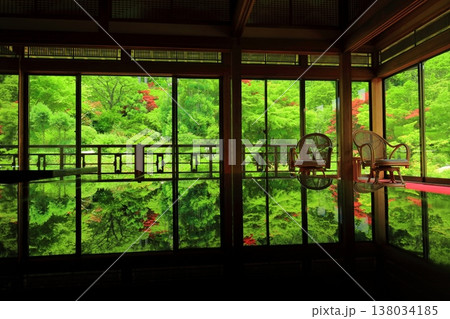 【佐賀県】新緑の環境芸術の森の風遊山荘から見た新緑 138034185