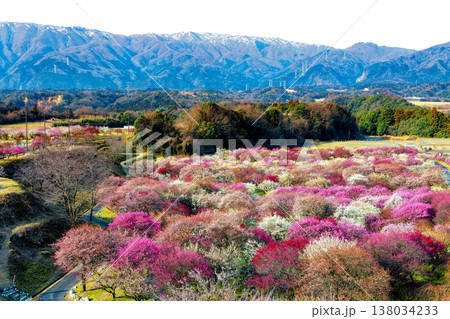 いなべ市梅林 138034233