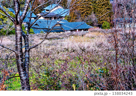 寿長生の郷 138034243