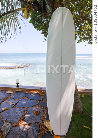 Surfboard standing by ocean under palm tree Surfboard standing by ocean under palm tree 138034452