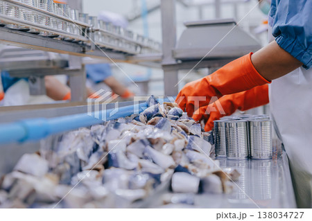 Food cannery industry hygiene worker packing processed fish in tin can at line, Canned food factory 138034727